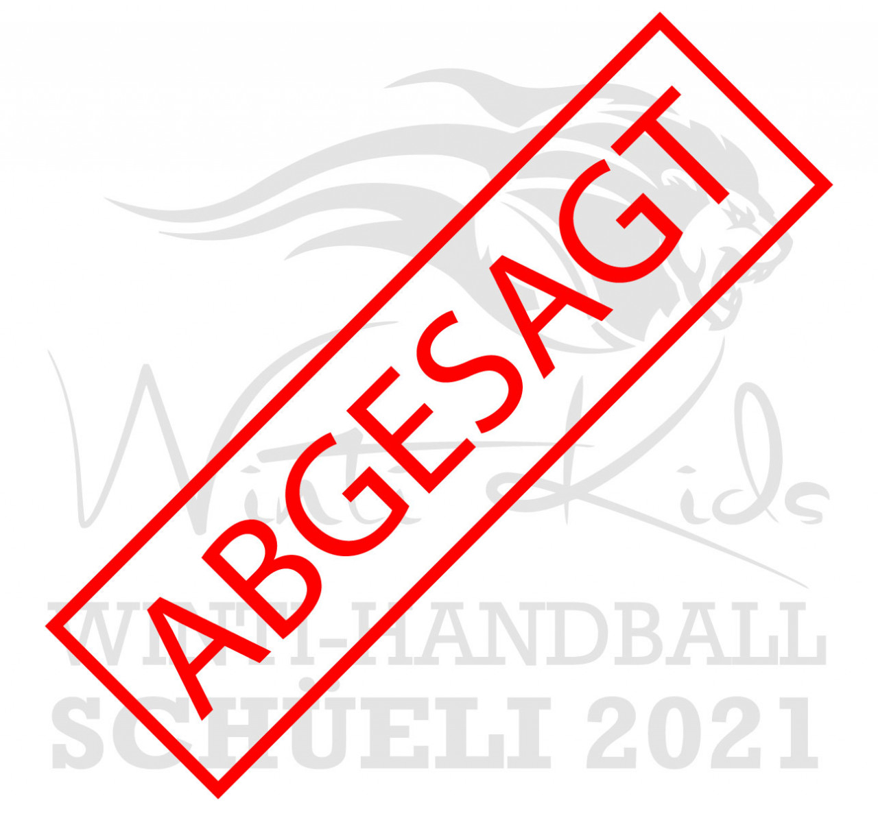 ABSAGE: Winti-Handball SchÃ¼eli 2021
